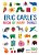 Eric Carle's Book Of Many Things - World Of Eric Carle - Hardcover - Imagem 1