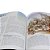 Manual Bíblico Sbb Edição Acadêmica - Imagem 6