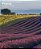 France - Imagem 1