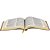 Bíblia Linha Ouro - Jesus, Capa Caramelo, Índice Digital E Beira Pintada Almeida Revista E Corrigida (Arc) - Imagem 4