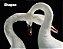 Shapes - Imagem 1