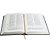 Biblia Sacra Vulgata - Imagem 2
