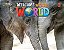 Welcome To Our World American 3 - Lesson Planner - Second Edition..- - Imagem 1