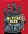 Actual Size - Imagem 1
