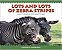 Lots And Lots Of Zebra Stripes - Imagem 1