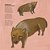 Rimas Da Floresta - Poesia Para Os Animais Ameaçados Pelo Homem..- - Imagem 5