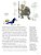 Viagem Pelo Brasil Em 52 Histórias (Nova Edição) - Imagem 3