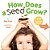 How Does A Seed Grow?-.. - Imagem 1
