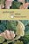 Pocket Posh J. R. R. Tolkien-.. - Imagem 1