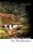 The Woodlanders - Collins Classics-.. - Imagem 1