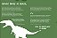 Novos Dinos Do Brasil..- - Imagem 5