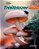 Trailblazer Starter - Lesson Planner..- - Imagem 1