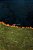 Pantanal..- - Imagem 1