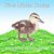 Five Little Ducks-.. - Imagem 1