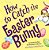 How To Catch The Easter Bunny-.. - Imagem 1