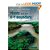 Plants And The K-t Boundary (Cambridge Paleobiology Series)-.. - Imagem 1