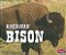 American Bison - North American Animals - Imagem 1