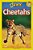 Cheetahs - National Geographic Kids - Level 2..- - Imagem 1
