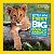 Little Kids First Big Book Of Animals-.. - Imagem 1