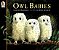 Owl Babies-.. - Imagem 1
