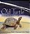 Old Turtle And The Broken Truth..- - Imagem 1