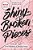 Shiny Broken Pieces: A Tiny Pretty Things Novel-.. - Imagem 1