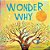 Wonder Why-.. - Imagem 1