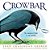 Crowbar: The Smartest Bird In The World-.. - Imagem 1