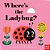 Where's The Ladybug?: (An Interactive, Sensory Lift-The-flap Book With Felt Flaps And A Mirror For Babies & Toddlers. Friendly Bugs & Insects Include-.. - Imagem 1