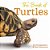 The Book Of Turtles-.. - Imagem 1