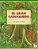 El Gran Capoquero: Un Cuento De La Selva Amazónica, The Great Kapok Tree (Spanish Edition)-.. - Imagem 1