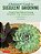A Beginner's Guide To Succulent Gardening: A Step-By-step Guide To Growing Beautiful & Long-Lasting Succulents-.. - Imagem 1
