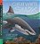 Great White Shark: Read And Wonder-.. - Imagem 1