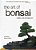 The Art Of Bonsai: Creation, Care And Enjoyment-.. - Imagem 1