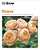 Grow Roses: Essential Know-How And Expert Advice For Gardening Success-.. - Imagem 1