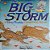 The Big Storm: A Very Soggy Counting Book-.. - Imagem 1