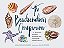 The Beachcomber's Companion: An Illustrated Guide To Collecting And Identifying Beach Treasures-.. - Imagem 1