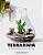 Terrarium: 33 Glass Gardens To Make Your Own-.. - Imagem 1