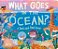 What Goes In The Ocean?: A Seek-And-find Book-.. - Imagem 1
