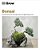 Grow Bonsai: Essential Know-How And Expert Advice For Gardening Success-.. - Imagem 1
