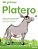 Mi Primer Platero - Imagem 1