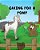Caring For A Pony: An Ilustrated Guide To Raising A Pony-.. - Imagem 1