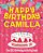Happy Birthday Camilla - The Big Birthday Activity Book: Personalized Children's Activity Book-.. - Imagem 1