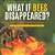 What If Bees Disappeared? Role Of Bees In Pollination Life Of Bees Book Grade 5 Children's Biology Books-.. - Imagem 1