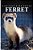 Ferret - Curious Kids Press: Kids Book About Animals And Wildlife, Children's Books 4-6-.. - Imagem 1