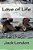 Love Of Life-.. - Imagem 1