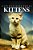 Kittens - Curious Kids Press-.. - Imagem 1