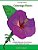 Coloriage Adulte: Coloriage Fleurs: Livre De Coloriage Pour Adultes Fleurs, Détente, Coloriage Adulte Fleurs, 50 Motifs Relaxants Et Ant-.. - Imagem 1