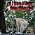 If I Were A Lemur: What Would I Do?-.. - Imagem 1