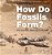 How Do Fossils Form? The Earth's History In Rocks Children's Earth Sciences Books-.. - Imagem 1